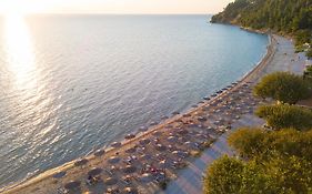 Alkioni By The Sea